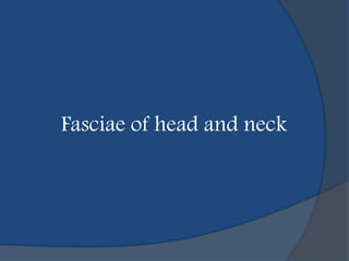 Fasciae of head and neck
 
