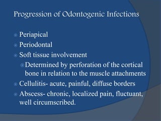 Progression of Odontogenic Infections
 Periapical
 Periodontal
 Soft tissue involvement
Determined by perforation of the cortical
bone in relation to the muscle attachments
 Cellulitis- acute, painful, diffuse borders
 Abscess- chronic, localized pain, fluctuant,
well circumscribed.
 