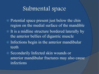 Submental space
 Potential space present just below the chin
region on the medial surface of the mandible
 It is a midline structure bordered laterally by
the anterior bellies of digastric muscle
 Infections begin in the anterior mandibular
teeth
 Secondarily Infected skin wounds or
anterior mandibular fractures may also cause
infections
 