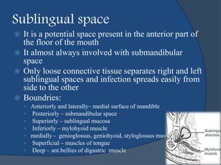 Sublingual space
 It is a potential space present in the anterior part of
the floor of the mouth
 It almost always involved with submandibular
space
 Only loose connective tissue separates right and left
sublingual spaces and infection spreads easily from
side to the other
 Boundries:
• Anteriorly and laterally– medial surface of mandible
• Posteriorly – submandibular space
• Superiorly – sublingual mucosa
• Inferiorly – mylohyoid muscle
• medially - genioglossus, geniohyoid, styloglossus muscles
• Superficial – muscles of tongue
• Deep – ant.bellies of digastric muscle
 