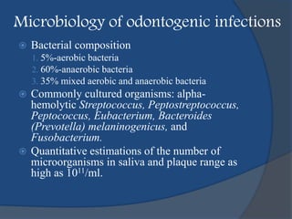 Microbiology of odontogenic infections
 Bacterial composition
1. 5%-aerobic bacteria
2. 60%-anaerobic bacteria
3. 35% mixed aerobic and anaerobic bacteria
 Commonly cultured organisms: alpha-
hemolytic Streptococcus, Peptostreptococcus,
Peptococcus, Eubacterium, Bacteroides
(Prevotella) melaninogenicus, and
Fusobacterium.
 Quantitative estimations of the number of
microorganisms in saliva and plaque range as
high as 1011/ml.
 
