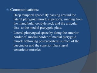  Communications:
• Deep temporal space: By passing around the
lateral pterygoid muscle superiorly, running from
the mandibular condyle neck and the articular
disc to the medial pterygoid plate.
• Lateral pharyngeal space:by along the anterior
border of medial border of medial pterygoid
muscle following postereolateral surface of the
buccinator and the superior pharyngeal
constrictor muscles
 