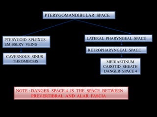 NOTE : DANGER SPACE 4 IS THE SPACE BETWEEN
PREVERTIBRAL AND ALAR FASCIA
PTERYGOMANDIBULAR SPACE
PTERYGOID SPLEXUS
EMISSERY VEINS
CAVERNOUS SINUS
THROMBOSIS
LATERAL PHARYNGEAL SPACE
RETROPHARYNGEAL SPACE
MEDIASTINUM
CAROTID SHEATH
DANGER SPACE 4
 