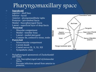 Pharyngomaxillary space
 Suprahyoid
• superior—skull base
• Inferior—hyoid
• Anterior—ptyergomandibular raphe
• Posterior—prevertebral fascia
• Medial—buccopharyngeal fascia
• Lateral—superficial layer of deep fascia
• Prestyloid
 Muscular compartment
 Medial—tonsillar fossa
 Lateral—medial pterygoid
 Contains fat, connective tissue, nodes
 Poststyloid
 Neurovascular compartment
 Carotid sheath
 Cranial nerves IX, X, XI, XII
 Sympathetic chain
 Stylopharyngeal aponeurosis of Zuckerkandel
and Testut
 Alar, buccopharyngeal and stylomuscular
fascia.
 Prevents infectious spread from anterior to
posterior.
 