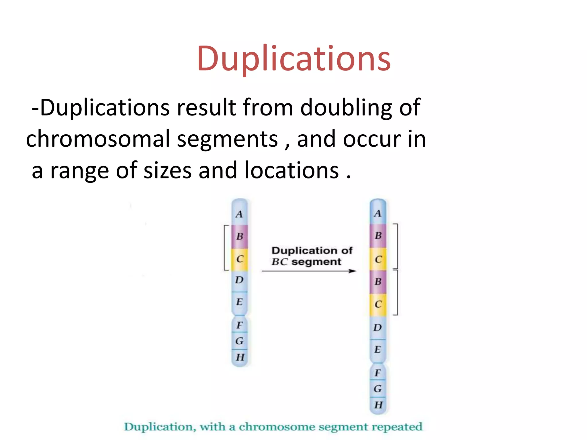 Duplications
-Duplications result from doubling of
chromosomal segments , and occur in
a range of sizes and locations .

 