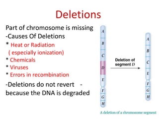 Deletions
Part of chromosome is missing
-Causes Of Deletions
* Heat or Radiation
( especially ionization)
* Chemicals
* Viruses
* Errors in recombination

-Deletions do not revert because the DNA is degraded

-

 