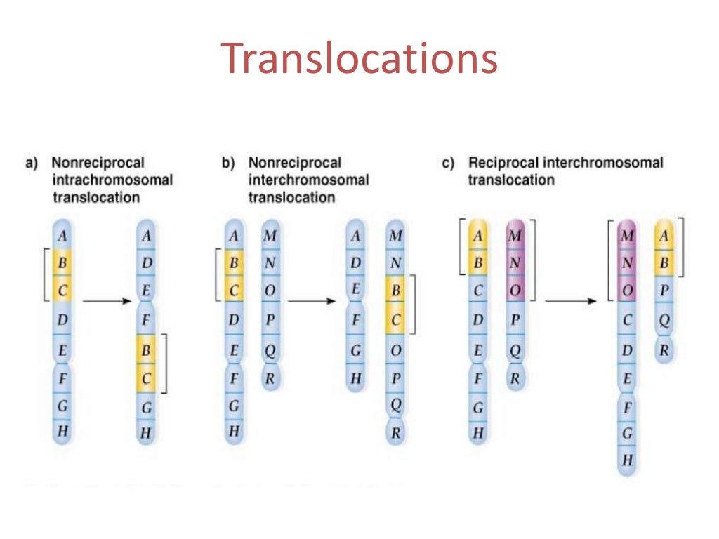 Change in chromosome structure