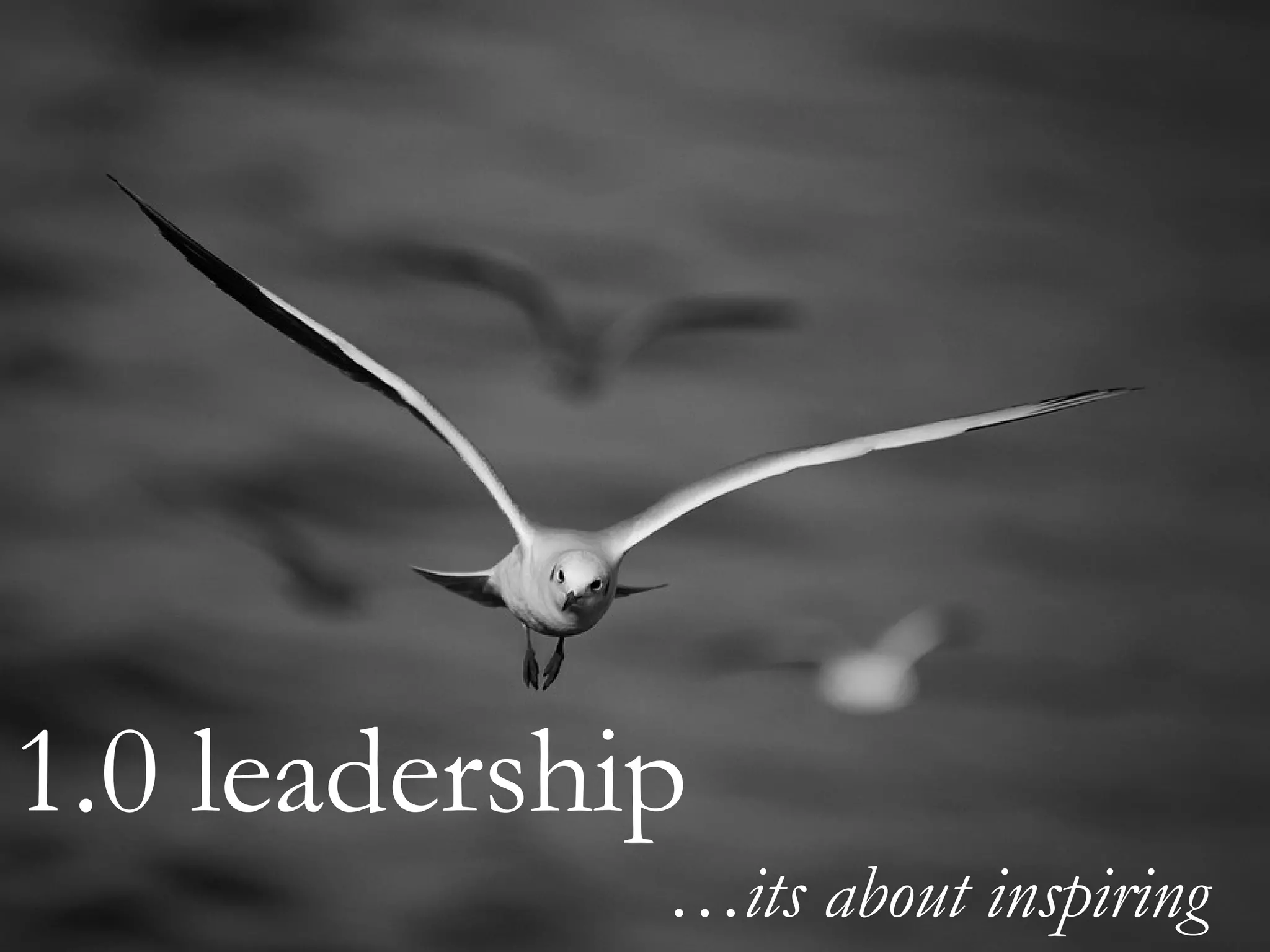 1.0 leadership
             …its about inspiring
 