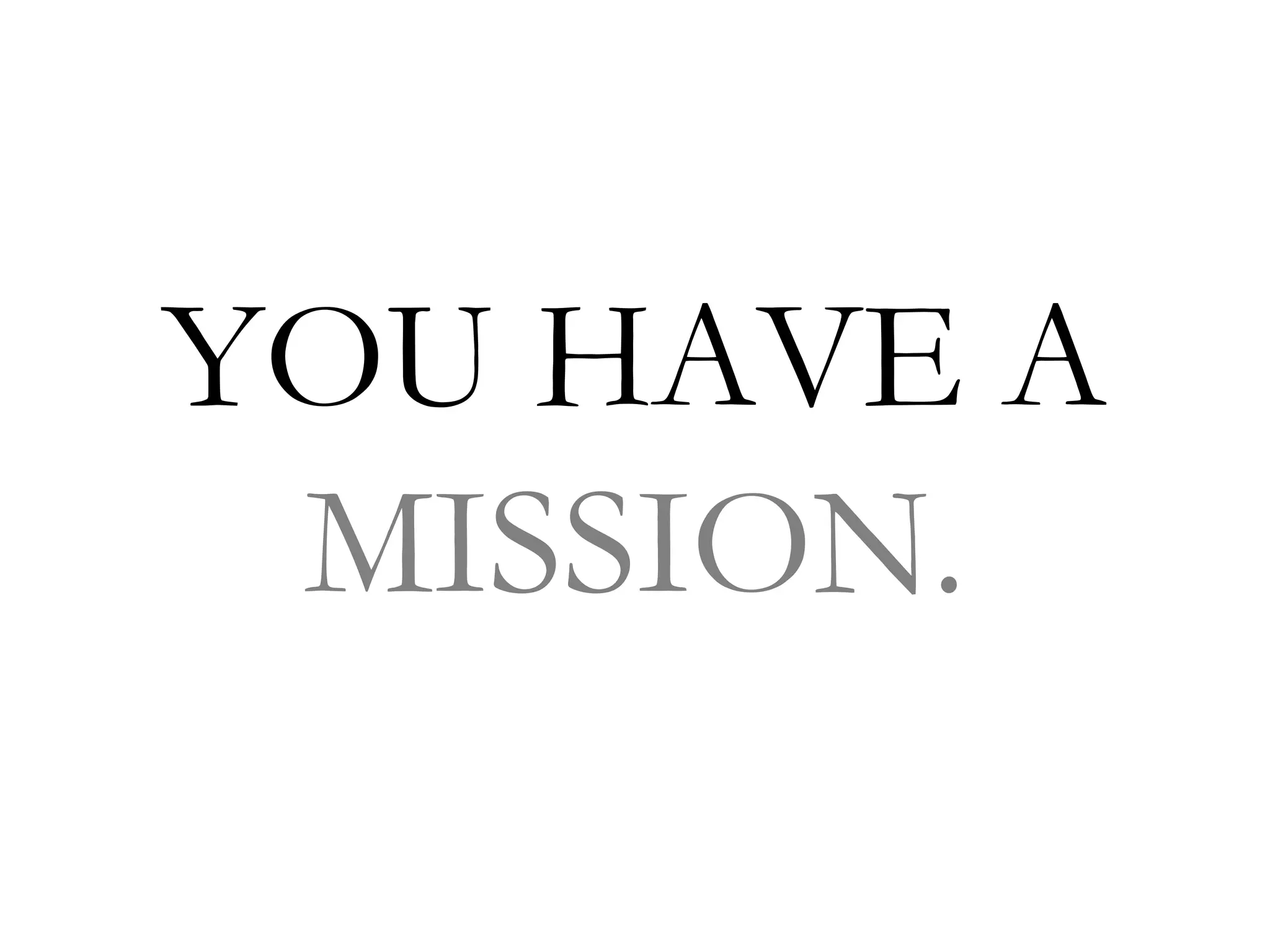 YOU HAVE A
 MISSION.
 
