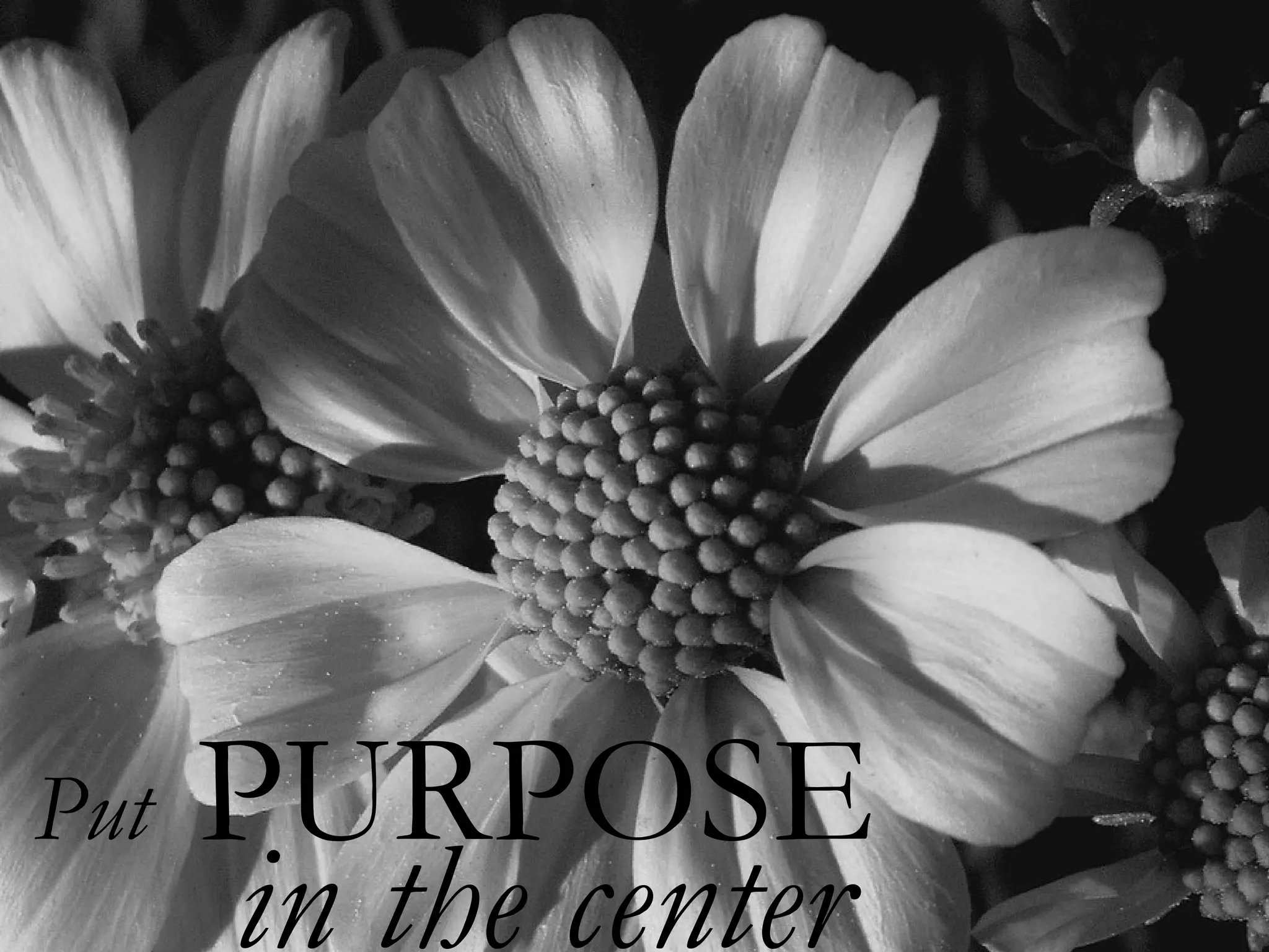 Put   PURPOSE
      in the center
 