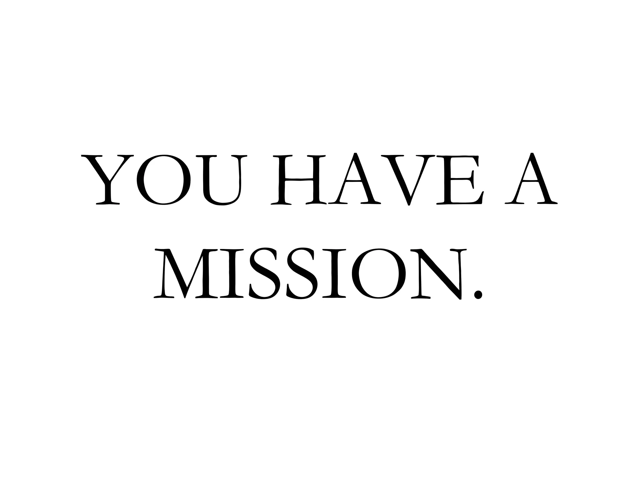 YOU HAVE A  MISSION. 