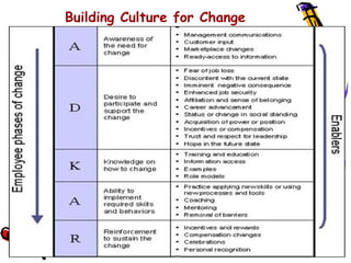 Building Culture for Change
 