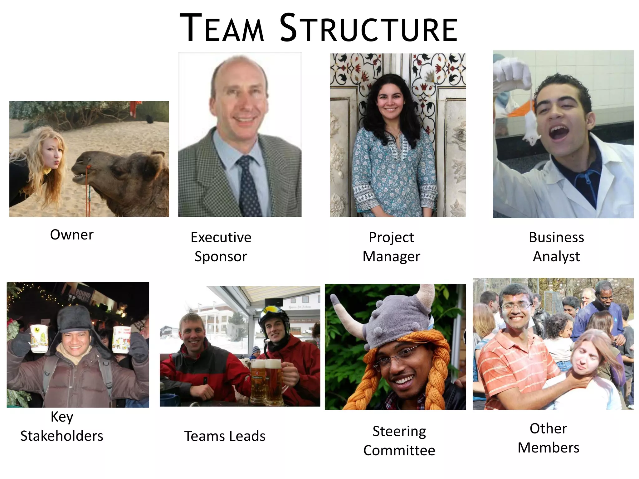 T EAM S TRUCTURE




    Owner      Executive     Project      Business
                Sponsor      Manager      Analyst




    Key
Stakeholders   Teams Leads    Steering    Other
                             Committee   Members
 