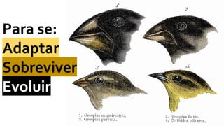 Para se:
Adaptar
Sobreviver
Evoluir
 