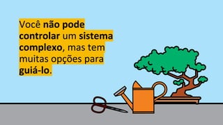 Você não pode
controlar um sistema
complexo, mas tem
muitas opções para
guiá-lo.
 