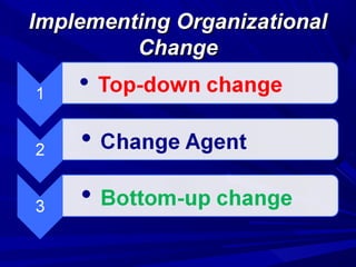Implementing Organizational
Change

 