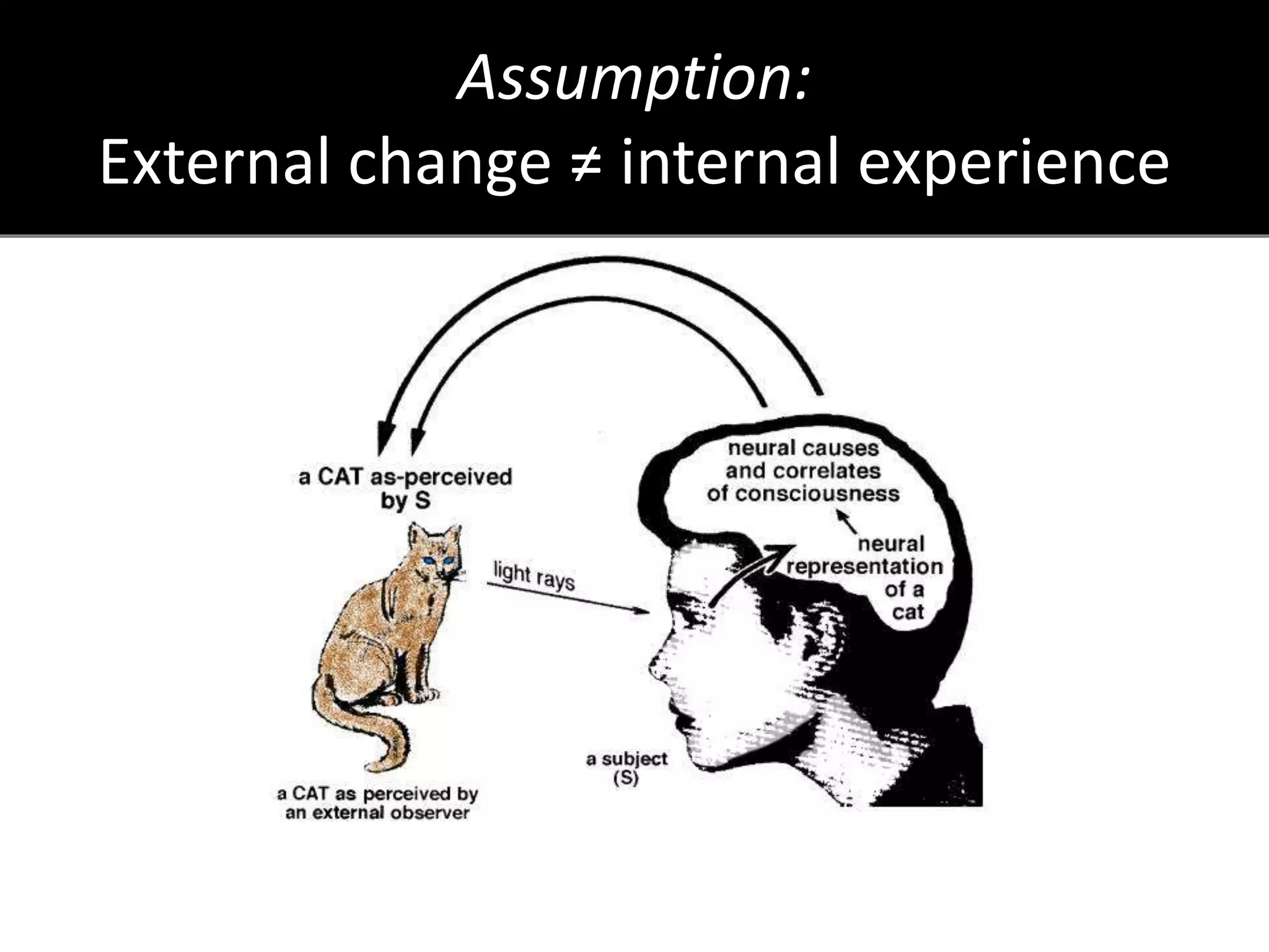 Assumption:
External change ≠ internal experience
 