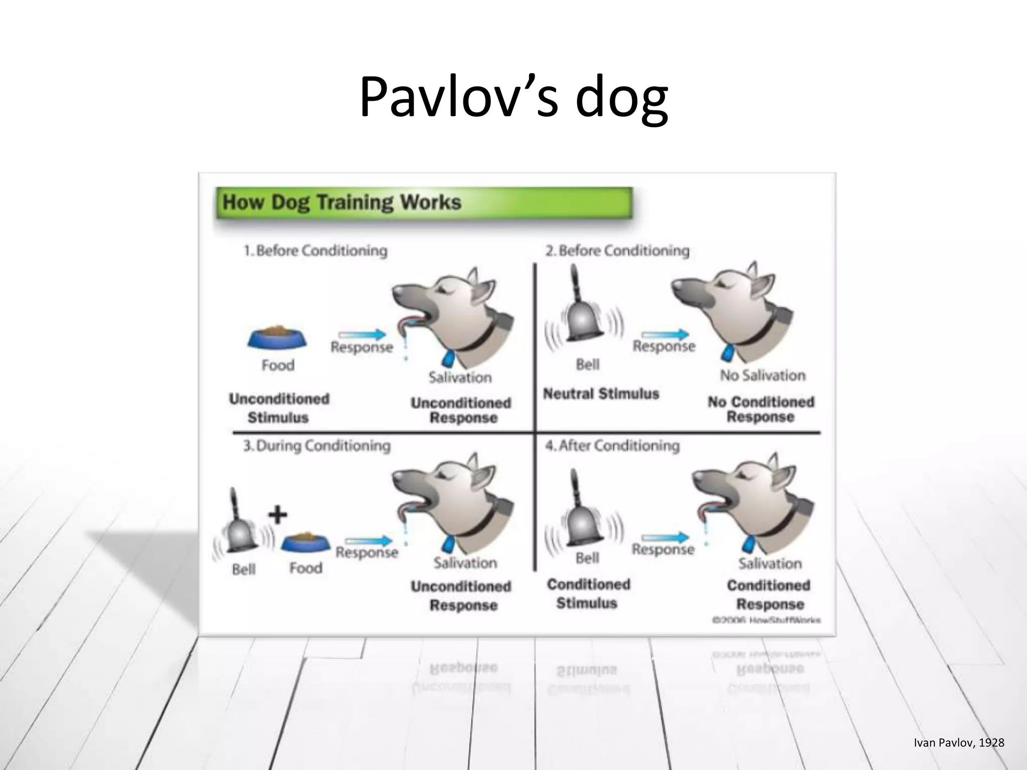 Pavlov’s dog




               Ivan Pavlov, 1928
 