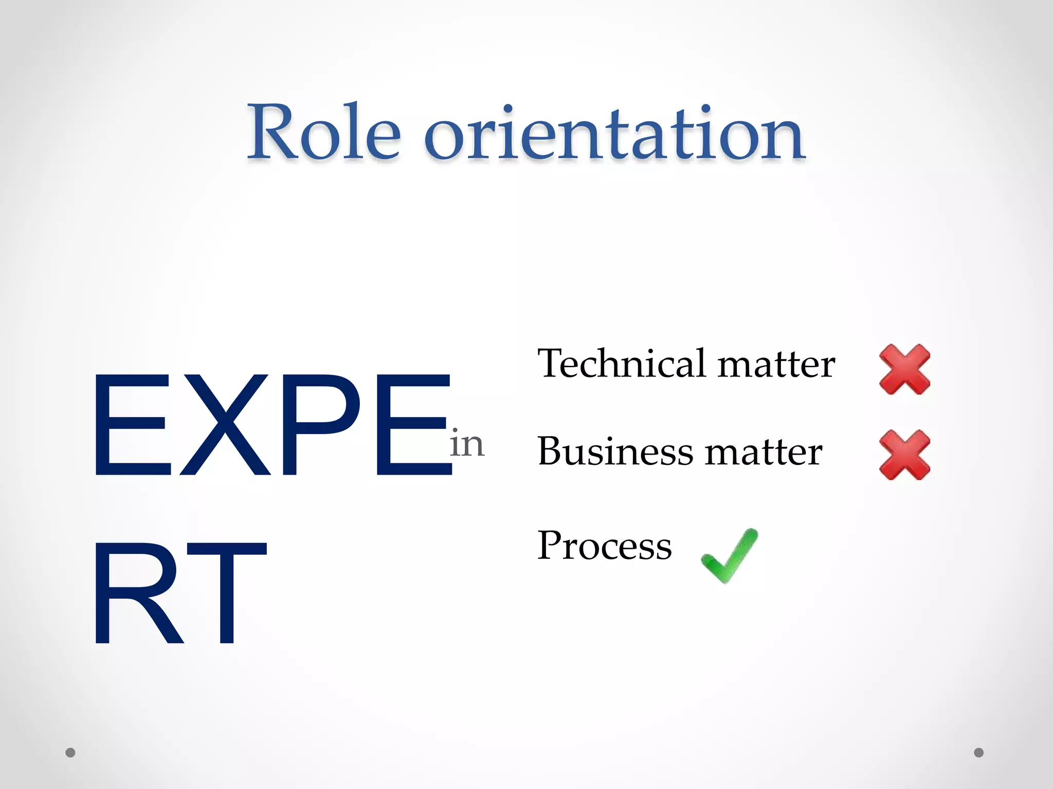Role orientation 
EXPE 
RT 
Technical matter 
in Business matter 
Process 
 