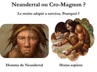 Neandertal ou Cro-Magnon ?
Le moins adapté a survécu. Pourquoi ?
Homme de Neandertal Homo sapiens
 