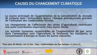 La source principale de l’augmentation de la concentration du dioxyde
de carbone dans l’atmosphère depuis l’époque préindustrielle provient
de l’utilisation des combustibles fossiles.
Les changements de l’affectation des terres (l’agriculture) constituant
une autre contribution importante mais moins élevée.
Les activités humaines responsables de l’augmentation de gaz serre
dans l’atmosphère sont l’agriculture, la foresterie, les transports, la
consommation d’énergie et toutes les autres industries.
*Pour plus de détails, voir le lien: http://www.webgeo.de/fao-webgeo-2-intro_fr/
CAUSES DU CHANGEMENT CLIMATIQUE
 