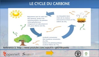 LE CYCLE DU CARBONE
Référence à: http://www.youtube.com/watch?v=gII5Y8tamHo
 