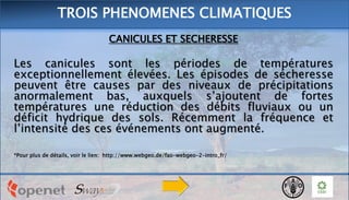 CANICULES ET SECHERESSE
Les canicules sont les périodes de températures
exceptionnellement élevées. Les épisodes de sécheresse
peuvent être causes par des niveaux de précipitations
anormalement bas, auxquels s’ajoutent de fortes
températures une réduction des débits fluviaux ou un
déficit hydrique des sols. Récemment la fréquence et
l’intensité des ces événements ont augmenté.
*Pour plus de détails, voir le lien: http://www.webgeo.de/fao-webgeo-2-intro_fr/
TROIS PHENOMENES CLIMATIQUES
 