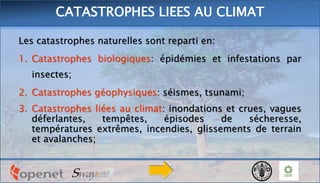 Les catastrophes naturelles sont reparti en:
1. Catastrophes biologiques: épidémies et infestations par
insectes;
2. Catastrophes géophysiques: séismes, tsunami;
3. Catastrophes liées au climat: inondations et crues, vagues
déferlantes, tempêtes, épisodes de sécheresse,
températures extrêmes, incendies, glissements de terrain
et avalanches;
CATASTROPHES LIEES AU CLIMAT
 
