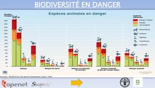 BIODIVERSITÉ EN DANGER
 