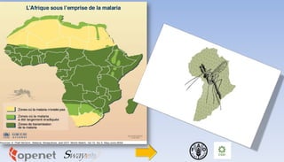 Changement climatique