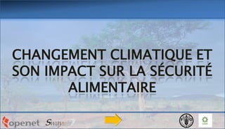 CHANGEMENT CLIMATIQUE ET
SON IMPACT SUR LA SÉCURITÉ
ALIMENTAIRE
 