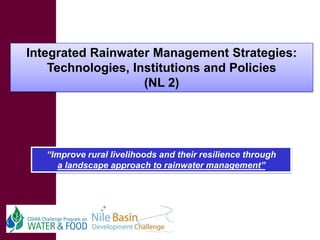 On integrated rainwater management strategies – technologies, institutions and policies