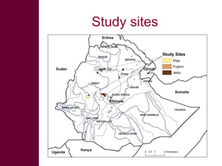 On integrated rainwater management strategies – technologies, institutions and policies