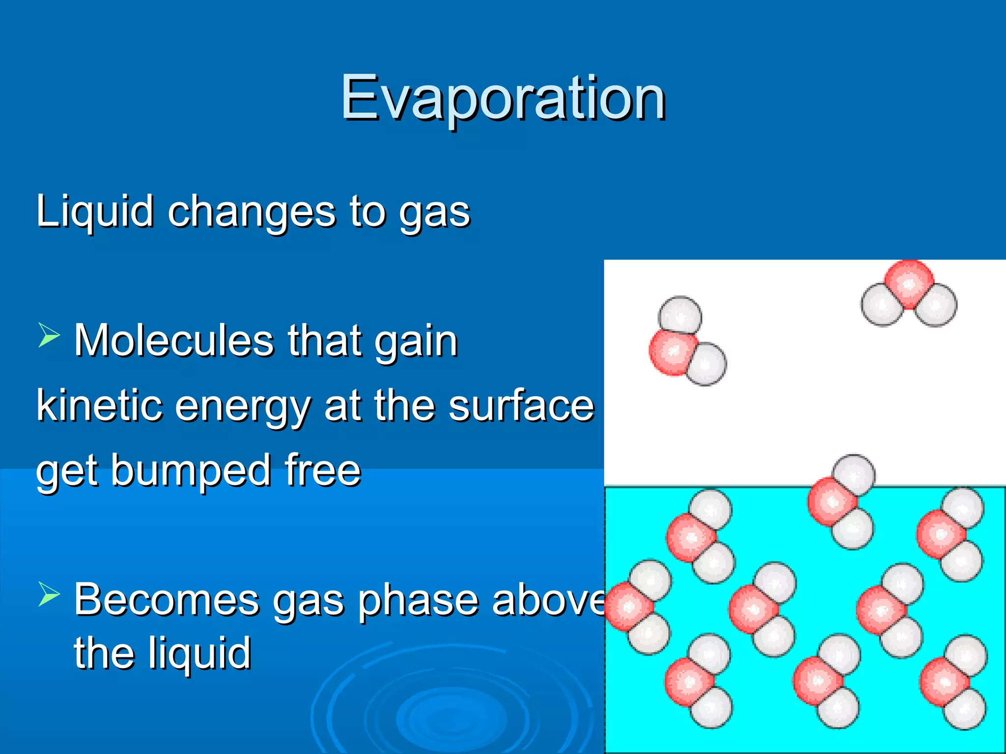 Evaporation
Liquid changes to gas
 Molecules that gain

kinetic energy at the surface
get bumped free
 Becomes gas phase above

the liquid

 