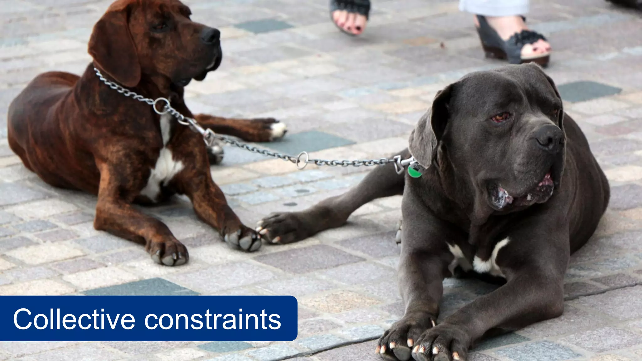 Collective constraints
 