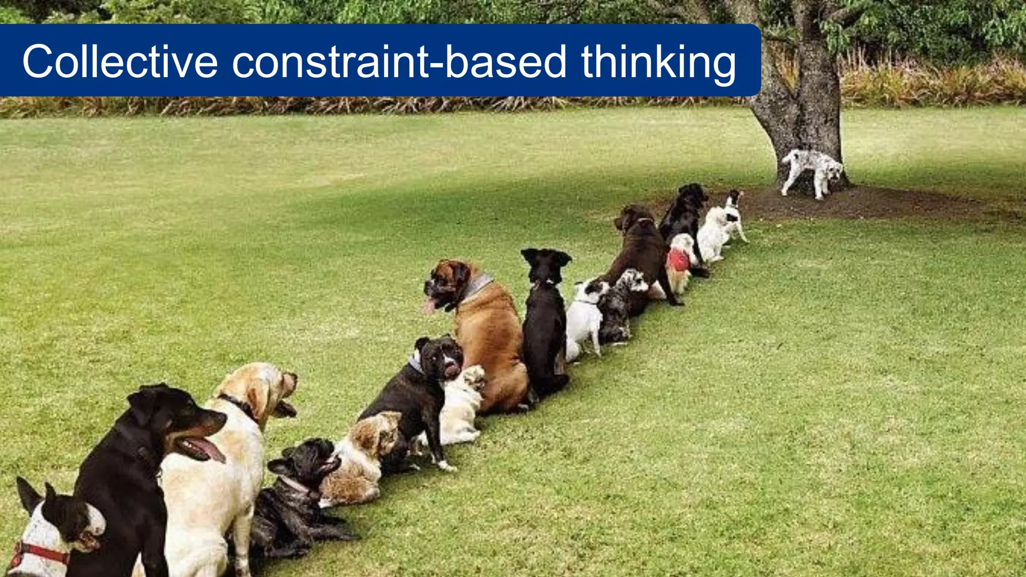 Collective constraint-based thinking
 