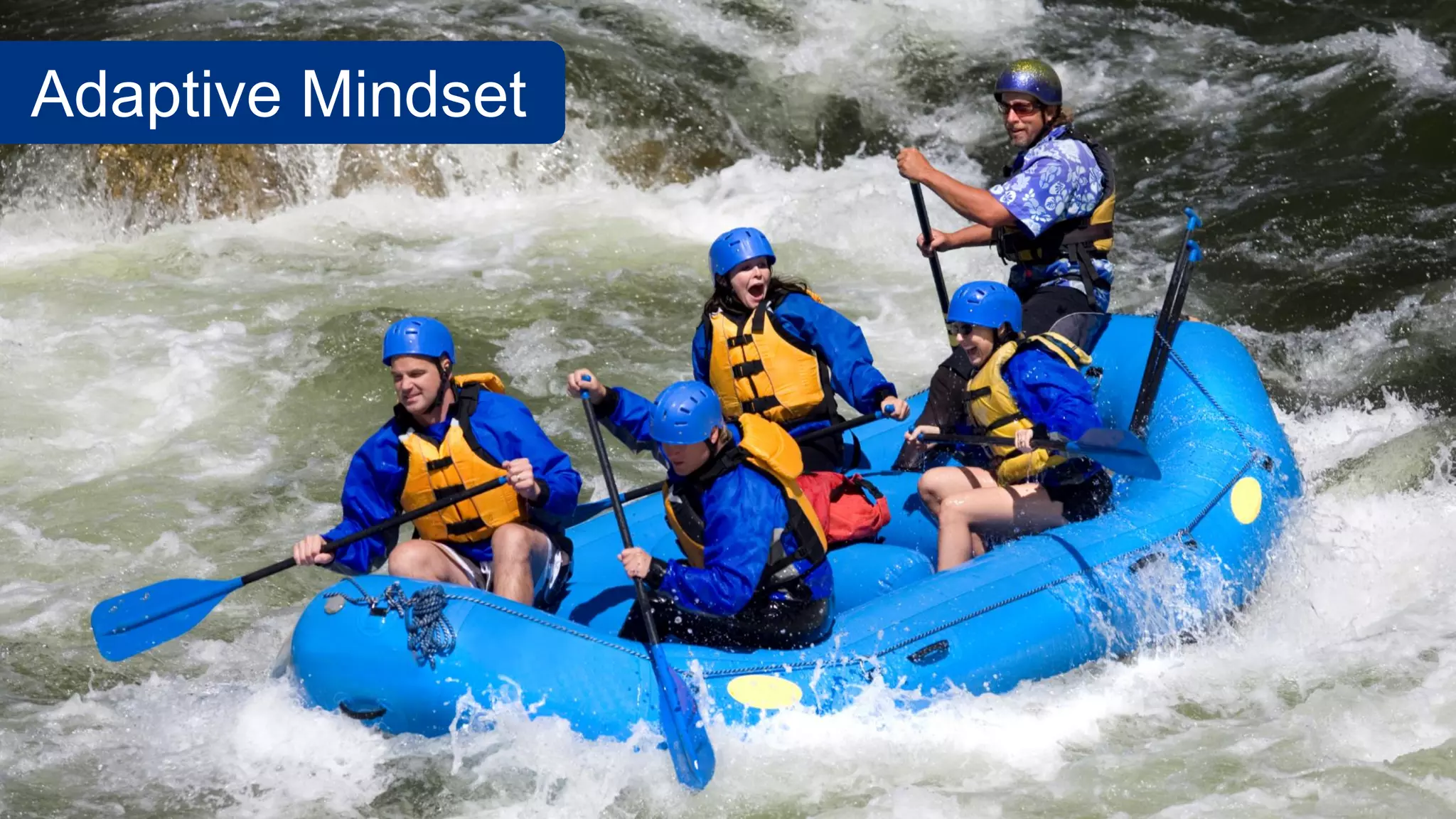Adaptive Mindset
 