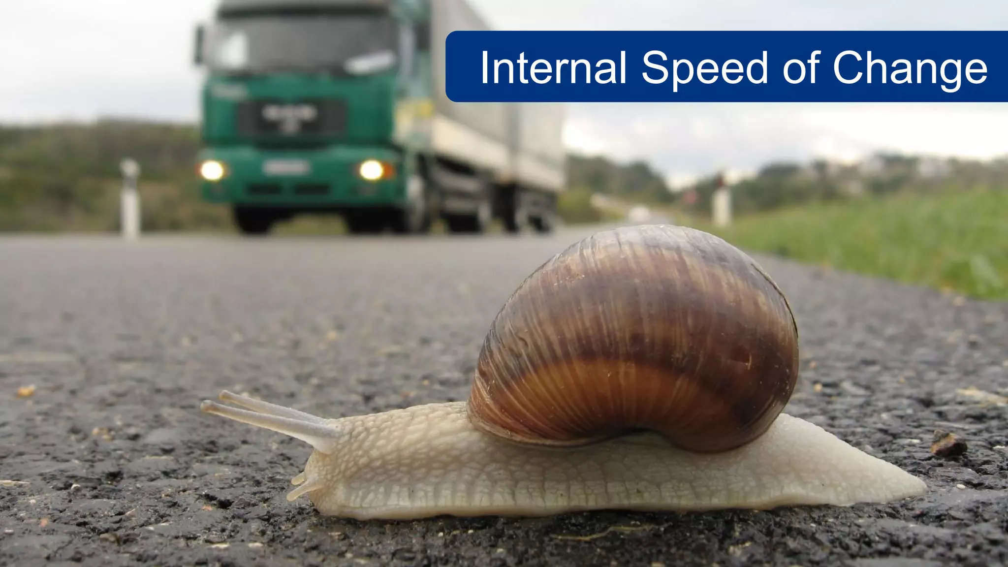 Internal Speed of Change
 