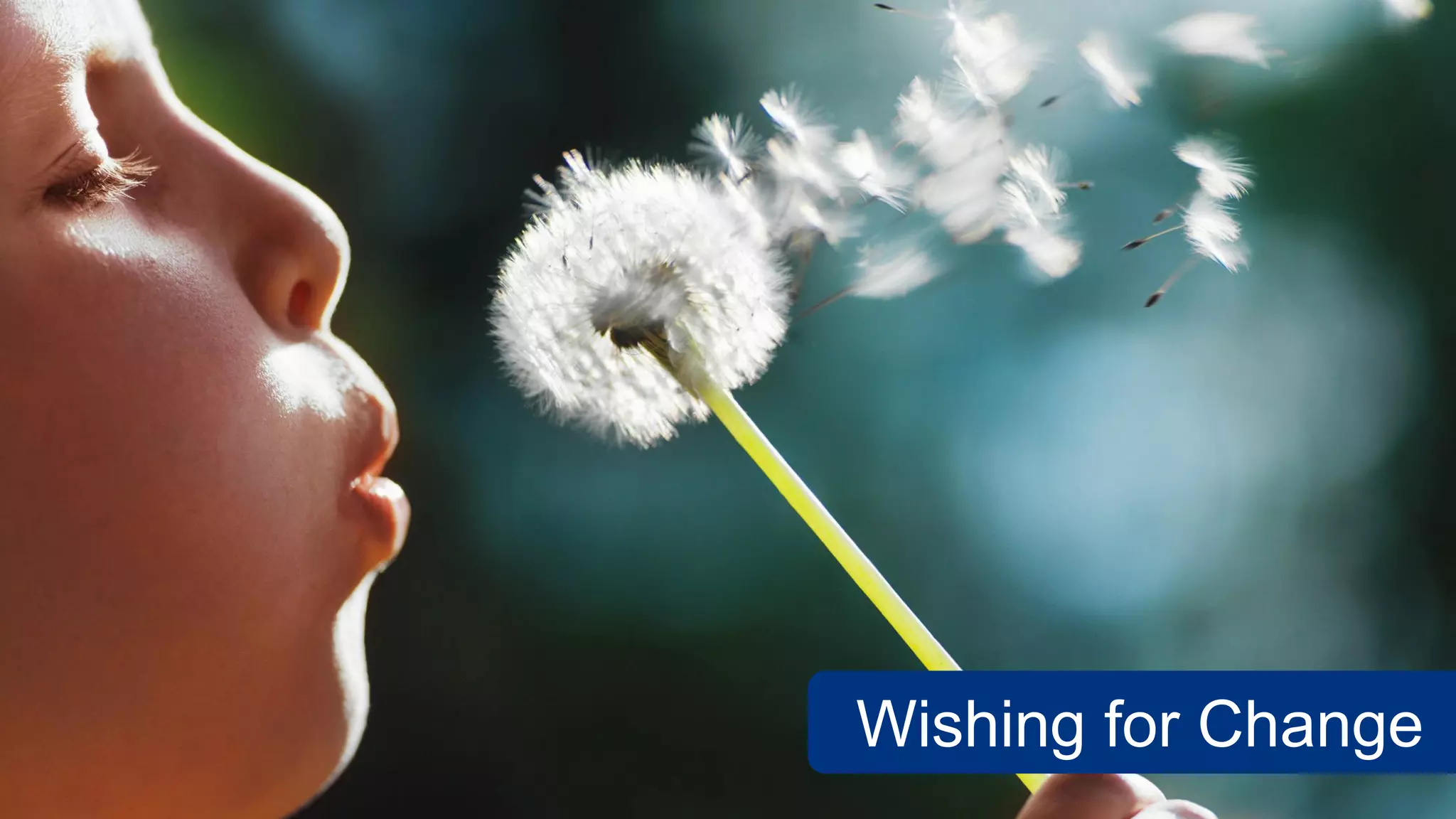 Wishing for Change
 
