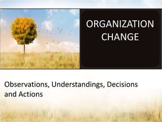 ORGANIZATION
CHANGE

Observations, Understandings, Decisions
and Actions

 