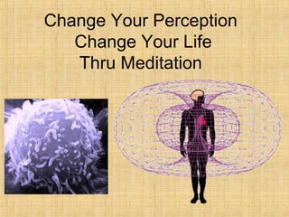 Change Your Perception
Change Your Life
Thru Meditation
 
