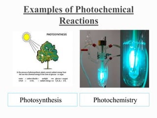 Photosynthesis Photochemistry 
 