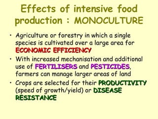 Effects of intensive food production :  MONOCULTURE Agriculture or forestry in which a single species is cultivated over a large area for  ECONOMIC EFFICIENCY With increased mechanisation and additional use of  FERTILISERS  and  PESTICIDES , farmers can manage larger areas of land Crops are selected for their  PRODUCTIVITY  (speed of growth/yield) or  DISEASE   RESISTANCE 