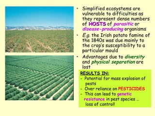 Simplified ecosystems are vulnerable to difficulties as they represent dense numbers of  HOSTS  of  parasitic  or  disease-producing  organisms E.g.  the Irish potato famine of the 1840s was due mainly to the crop’s susceptibility to a particular mould  Advantages due to  diversity  and  physical separation  are lost RESULTS IN: Potential for mass explosion of pests Over reliance on  PESTICIDES This can lead to  genetic  resistance  in pest species … loss of control! 