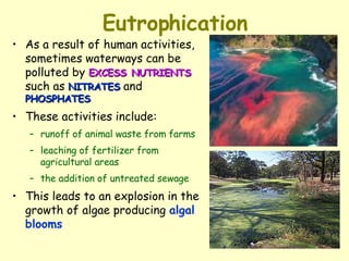 Eutrophication As a result of human activities, sometimes waterways can be polluted by  EXCESS   NUTRIENTS  such as  NITRATES  and  PHOSPHATES These activities include:  runoff of animal waste from farms leaching of fertilizer from agricultural areas the addition of untreated sewage This leads to an explosion in the growth of algae producing  algal blooms   