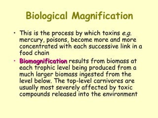 Biological Magnification This is the process by which toxins  e.g.  mercury, poisons, become more and more concentrated with each successive link in a food chain Biomagnification  results from biomass at each trophic level being produced from a much larger biomass ingested from the level below. The top-level carnivores are usually most severely affected by toxic compounds released into the environment  