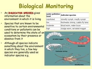 Biological Monitoring An  INDICATOR SPECIES  gives information about the environment in which it is living Species that are known to be sensitive to certain environmental conditions or pollutants can be used to determine the state of an ecosystem by their presence or absence from it Although all species indicate something about the environment in which they live, a few key species are generally used as indicator species e.g.  