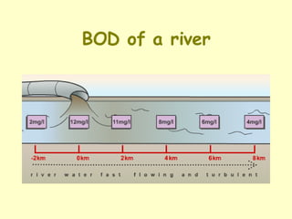 BOD of a river 