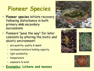 Pioneer Species Pioneer species  initiate recovery following disturbance in both primary  AND  secondary successions  Pioneers "pave the way" for later colonists by altering the biotic and abiotic environment: soil quantity, quality & depth  increased moisture holding capacity  light availability  temperature  exposure to wind Examples:  Lichens and mosses 