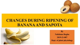 CHANGES DURING RIPENING OF
BANANAAND SAPOTA
By
Nalishma Raghu
2019-21-007
Dept. of plant physiology
 